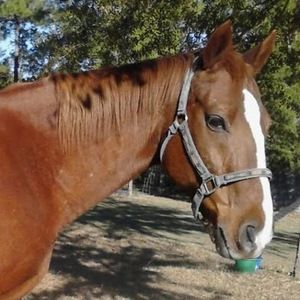 Meet your Posher, Tami